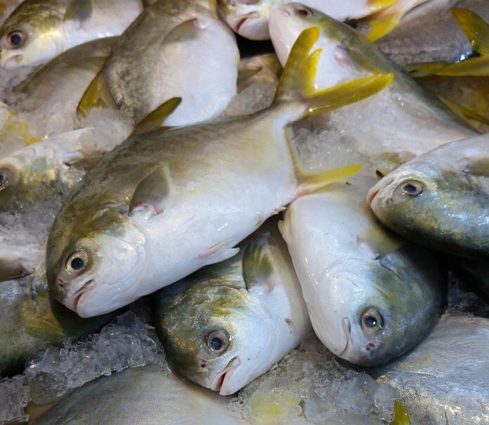 Top 10 Fastest Growing Seafood-Based Foodservice Categories
